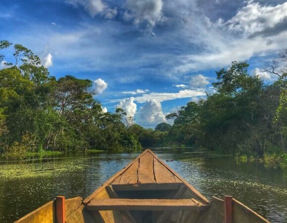 Amazonas