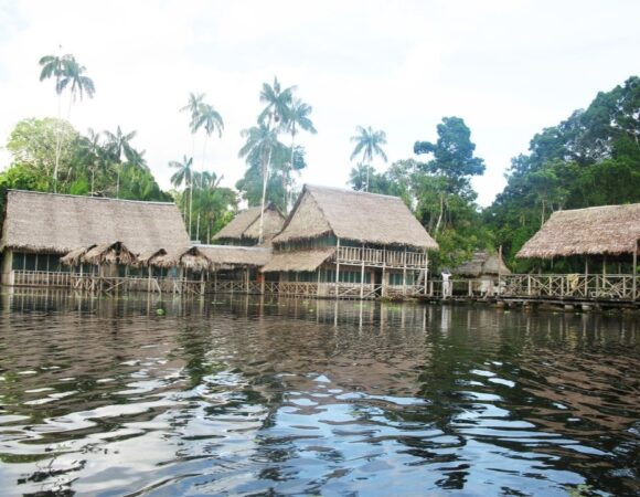 Amazonas